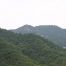 해병농장 이미지