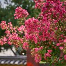 신숭겸장군유적지 이미지