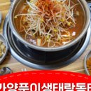 대가양푼이생태랑동태랑