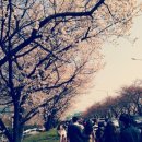 여의서로1길 이미지