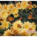 평생친구