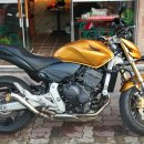 (타기종) 08년CB600F(HORNET) 팝니다 이미지