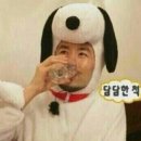 과일특공대마린시티