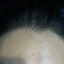 제시카뷰티랩 이미지