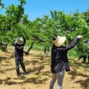 효령면행정복지센터 이미지