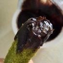 씨유(CU)과천어울림점 | CU 신상 과자 PBICK 초코말차쿠키 솔직 내돈내산 후기 (가격·칼로리 포함)