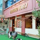 청년고기집 이미지