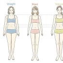 바디셀프 네이버블로그