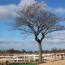 와흘을그리다. 이미지