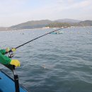 자바낚시 이미지