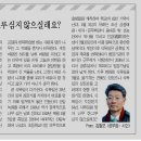 나무한그루 이미지