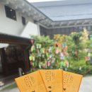 [Day 2] 부모님과 다녀온 마츠야마 마쓰야마 자유여행 2박 3일 후기
