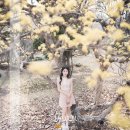 예원 - 북구 원대로 119 | 예원