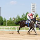 투배로스포츠