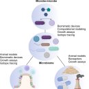 Re: host -장내 유익균 metabolomics 2022 nature!! 이미지