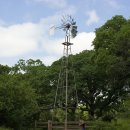 은빛파도 이미지