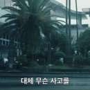 누아르 이미지