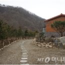 무공해시골채소
