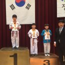 국가대표 타이거 태권스쿨 이미지