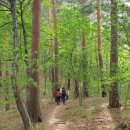 아름드리목장 이미지