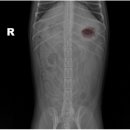 유앤동물병원 이미지