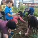 진천시민지역아동센터 이미지