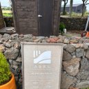 제주 구좌 카페 소농로드 후기｜직접 짠 당근주스와 당근케이크가 맛있는 제주 동쪽 카페