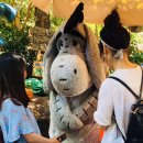 마운틴(mauntain) | 미국 서부 5박 6일 자유여행 (4) 애너하임 디즈니랜드 부제: 디즈니랜드는 La가 아니라 애너하임에...