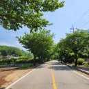 폭포동고구마 | 옥천에 드럼 설치하고 옥천 함흥냉면 처음 방문