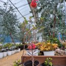 강인한농장 이미지