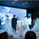 김해지역 다문화가정 합동결혼식 행사 참여 이미지