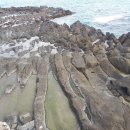 양남주상절리 이미지