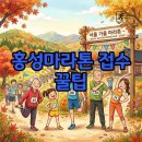 홍주자원 | 2026 홍성마라톤, 코스 분석부터 접수 꿀팁까지!