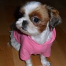 모른골지 이미지