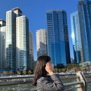 호로롯쿠 이미지