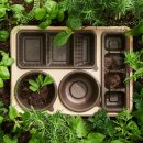 본 도시락 이미지