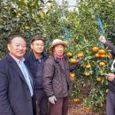 김길용농장 이미지