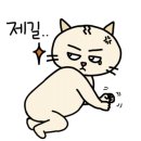 웰니스스토어