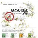 엠케이제이 이미지