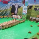 석암농장 이미지