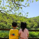 공주우체국 2층 화장실 | 내돈내산 공주여행 뷰맛집 카페추천 엔학고래 방문 후기 (공주 동학사 근처 가볼만한 카페)