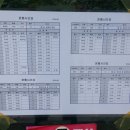 충남식당단구동