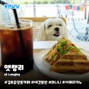 앳랭리 | 김포 운양동 감성카페 앳랭리 at Langley | 애견동반 파니니 맛집