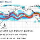 서울본치과 이미지