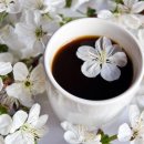 ㅂㅂㅂㅂ 이미지