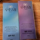 숲속애담소