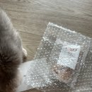 찹앤찹 | [순찌네_제품후기] 찹찹순찌 고양이 트릿추천 간식추천 찹앤찹 찹찹트릿