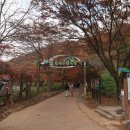 고고25