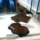 동경농장 이미지