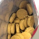 초록푸드 | 영양 만점, 기호성 최고인 동결건조사료 트러스티푸드 비프패티와 초록잎홍합, 채소믹스 급여후기